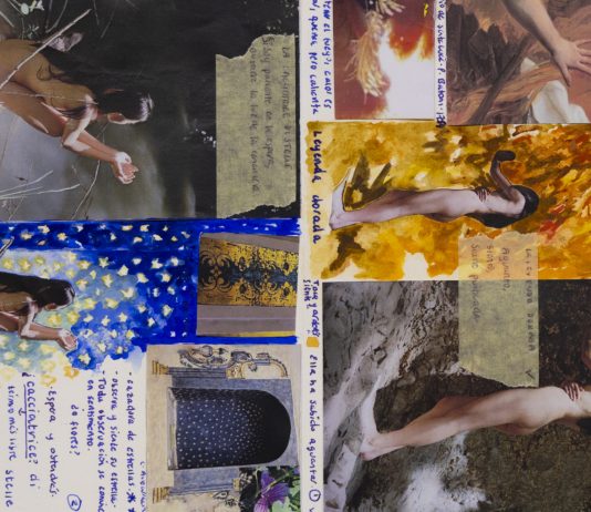 DIARIO DE LUZ: quando la fotografia incontra la pittura