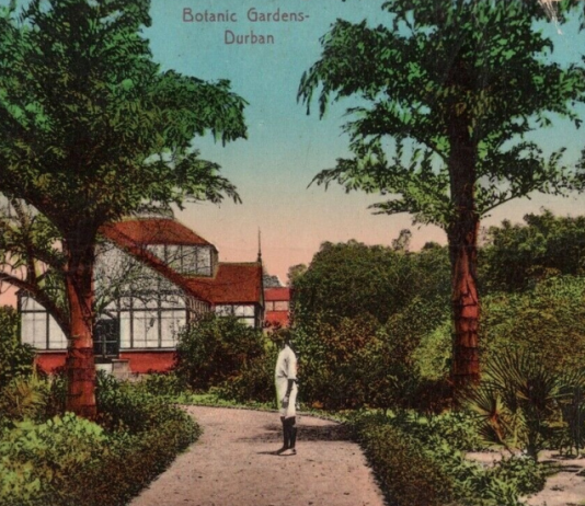 Donata Lazzarini – Cuoredoro