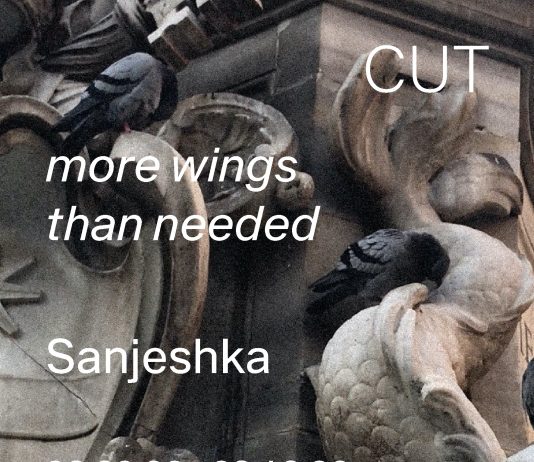 Sanjeshka – More wings than needed
