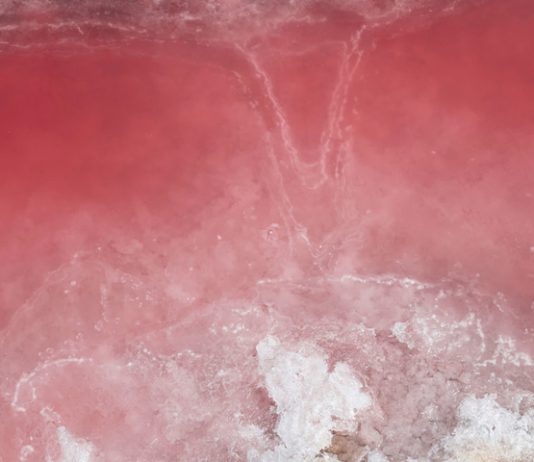 Loredana Celano – WHITE DUST  WHERE OTHER WORLDS ARE POSSIBLE