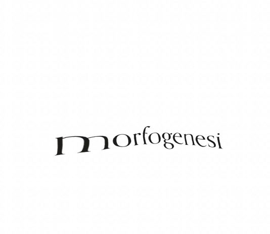 Morfogenesi