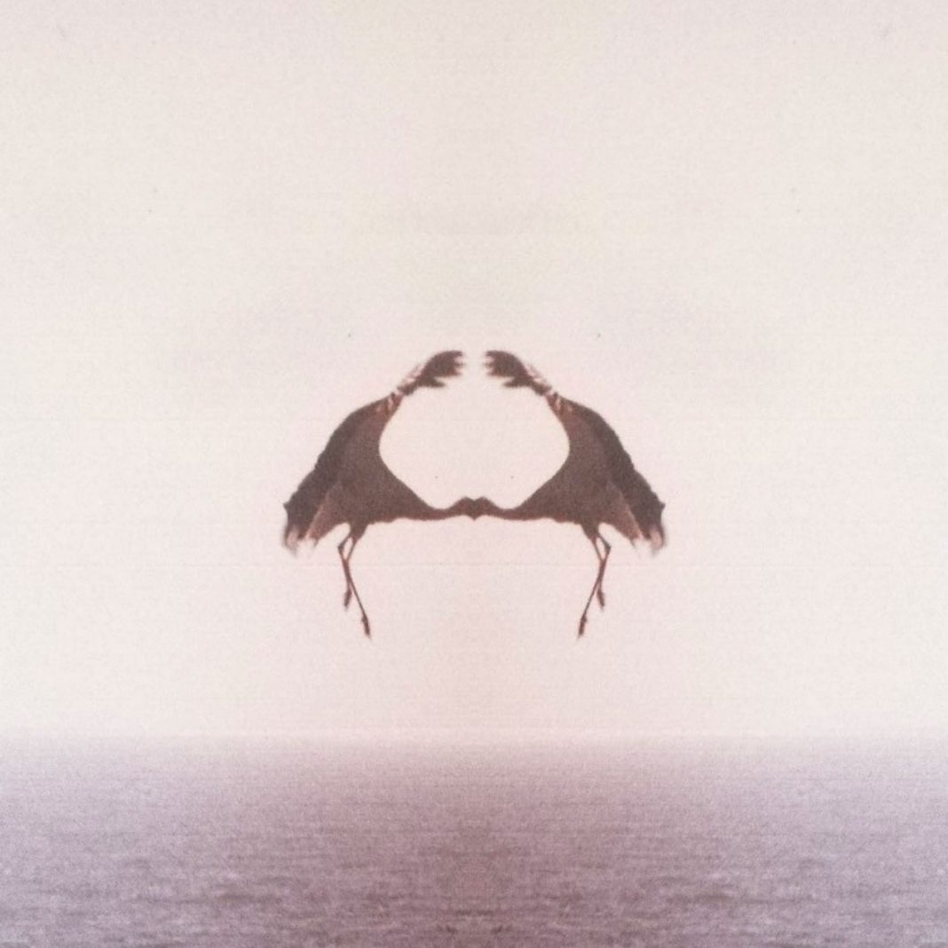 Plain Chords of Spectral Blisshttps://www.exibart.com/repository/media/formidable/11/img/198/Maarten-Van-Roy-Plain-Chords-of-Spectral-Bliss-1068x1068.jpg