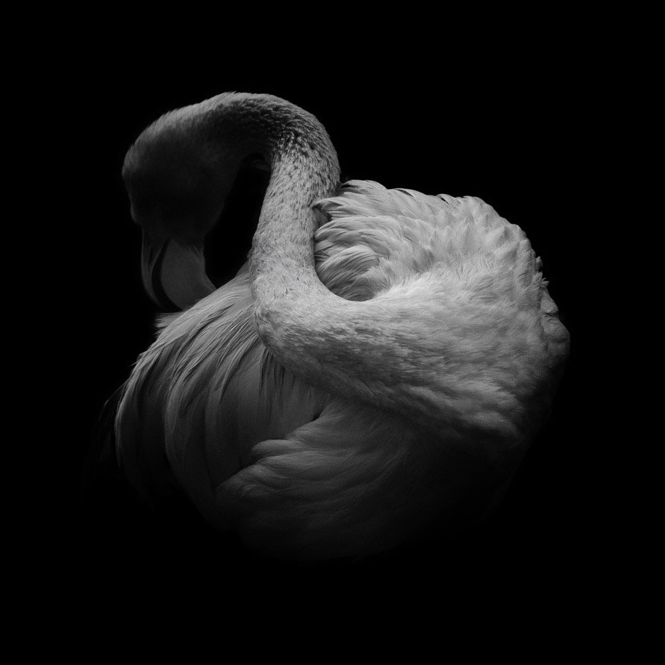 Andrea Martiradonna – Res Naturaehttps://www.exibart.com/repository/media/formidable/11/img/1a5/1_Andrea-Martiradonna_Res-Naturae.jpeg