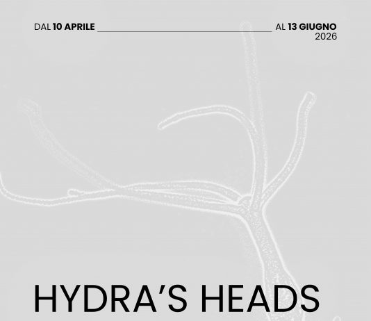 Hydra’s heads