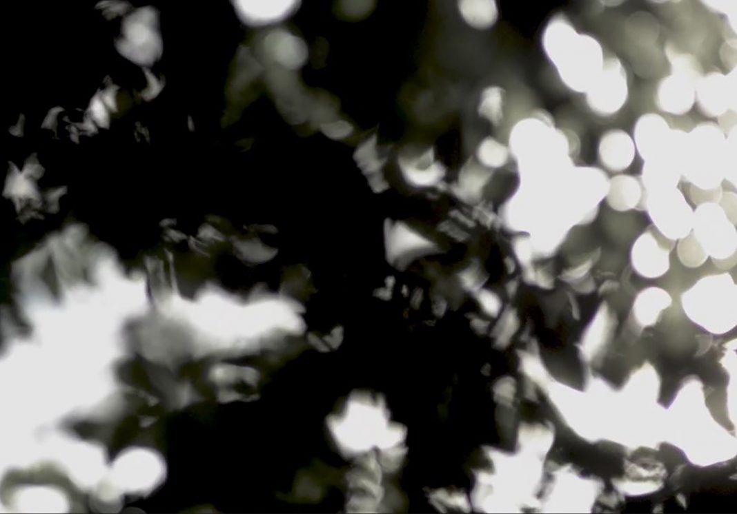 Belgian Lighthttps://www.exibart.com/repository/media/formidable/11/img/1c5/Valentina-Perazzini_Belgian-Light-1068x746.jpg