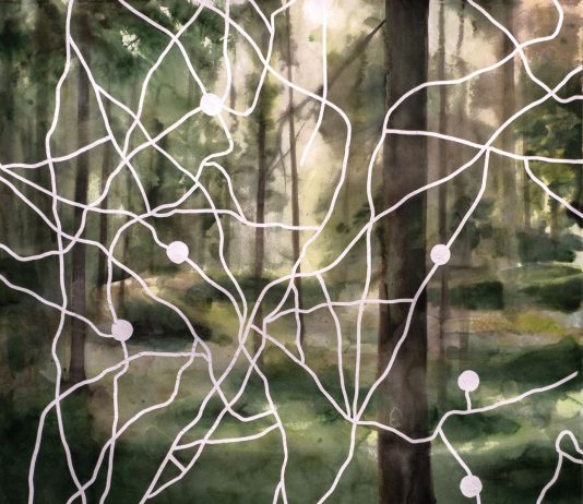 EGEON – IL POSTO DELLE FRAGOLE