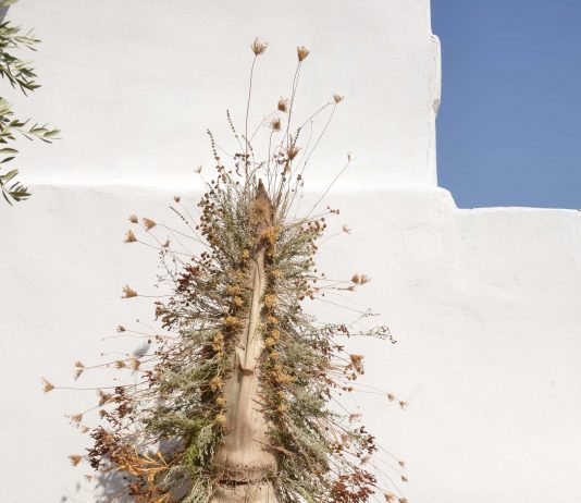 Cosimo Terlizzi – Dal giardino. Riconciliarsi con il selvatico