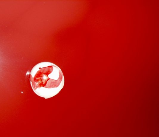 Valentina Iacovelli – Corpus Körper