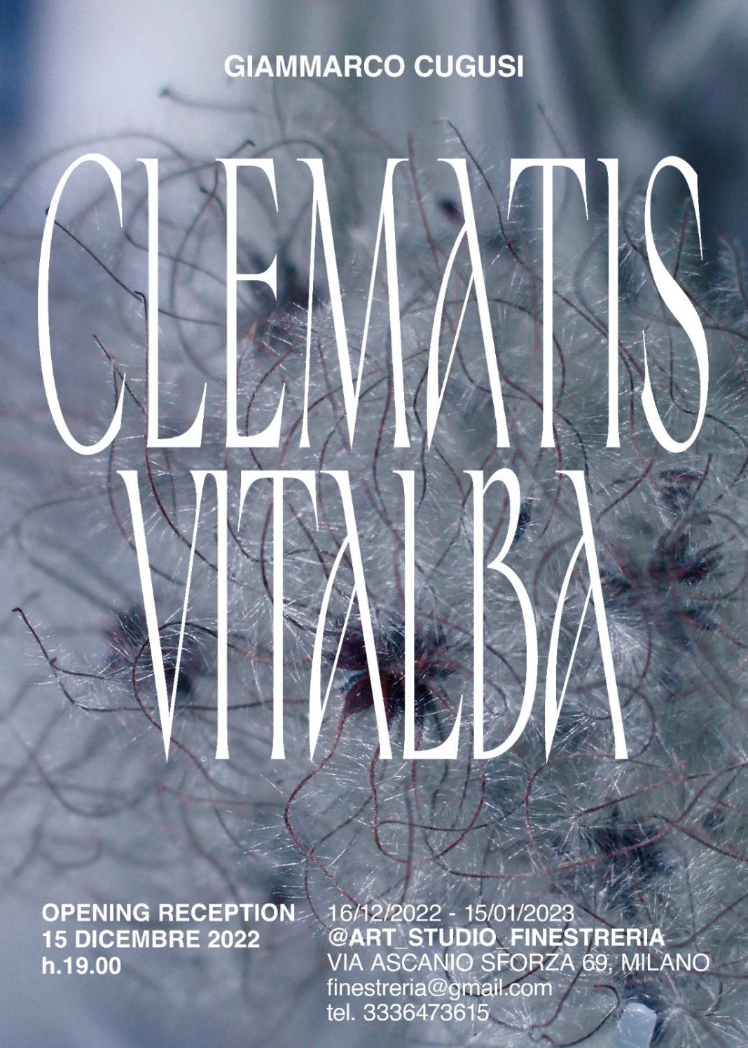 Clematis Vitalbahttps://www.exibart.com/repository/media/formidable/11/img/1f0/mostra-darte-contemporanea-1068x1496.jpeg