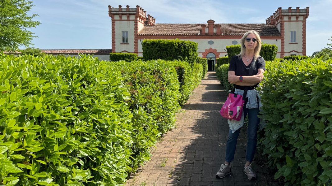 Fabiana Toffano – Personaggi del passatohttps://www.exibart.com/repository/media/formidable/11/img/1f2/COPERTINA-LIBRO-toffano--1068x601.jpg