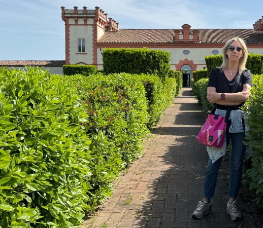 Fabiana Toffano – Personaggi del passato