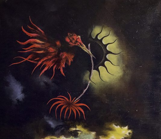 Daniele Culicelli – Paysandisia