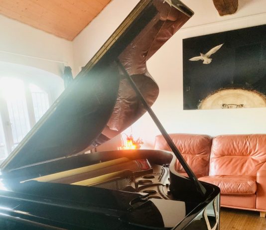 Le opere di Sofia Neri in dialogo con Hermann Hesse