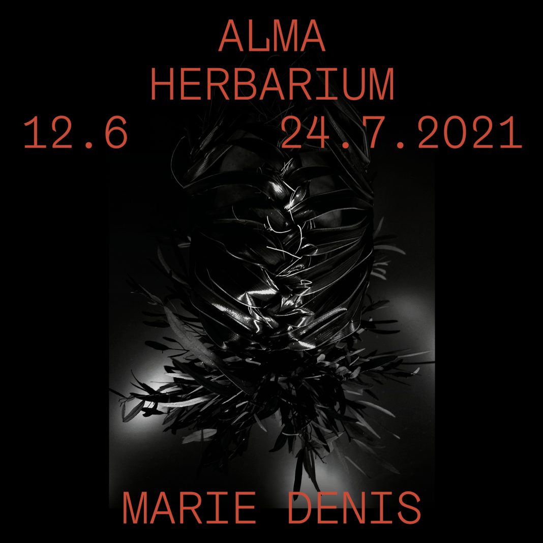 Alma Herbarium – Marie Denishttps://www.exibart.com/repository/media/formidable/11/img/1fa/Post-1068x1068.jpg