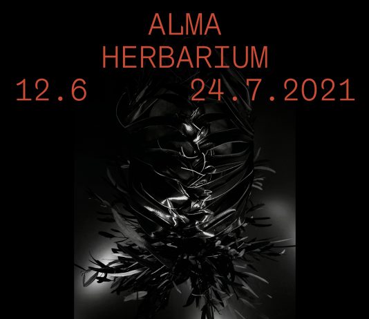 Alma Herbarium – Marie Denis