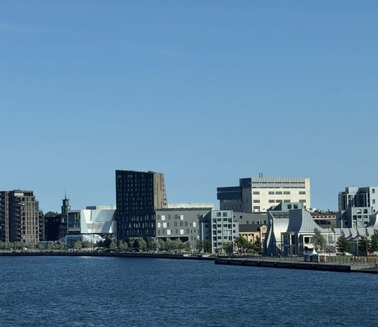 Patrizia Genovesi – Abitare il cambiamento: uno sguardo su Copenhagen Patrizia Genovesi – Abitare il cambiamento: uno sguardo su Copenhagen