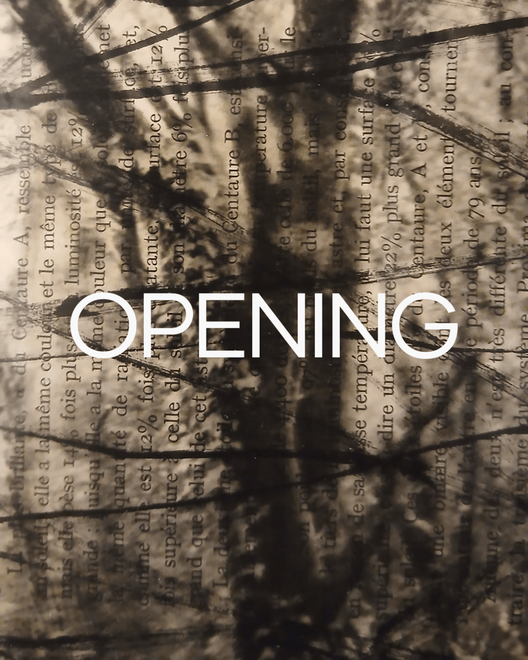 Selva – Non c’è luce che non mostri la sua ombrahttps://www.exibart.com/repository/media/formidable/11/img/210/pag-1-min-1068x1335.png