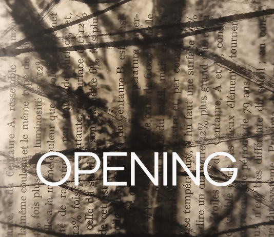 Selva – Non c’è luce che non mostri la sua ombra