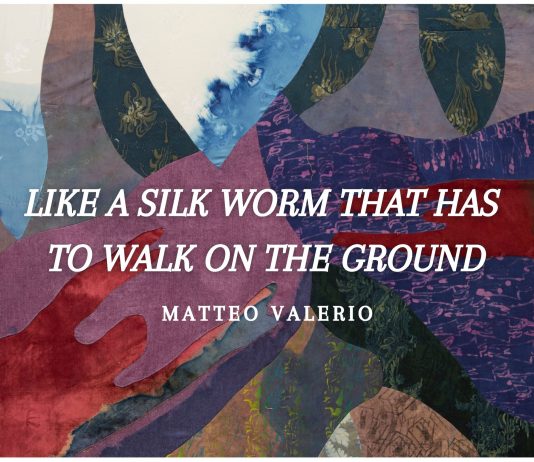 Matteo Valerio – Like a silk worm that has to walk on the ground