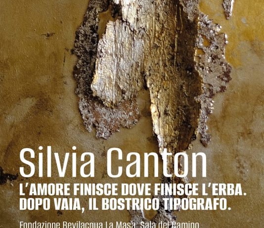 Silvia Canton – L’amore finisce dove finisce l’erba. Dopo Vaia, il bostrico tipografo Silvia Canton – L’amore finisce dove finisce l’erba. Dopo Vaia, il bostrico tipografo