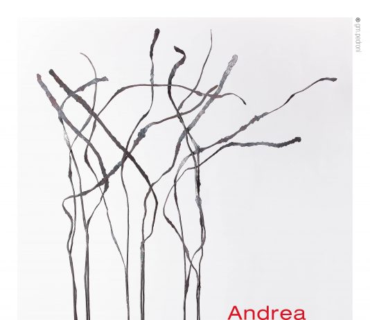 Andrea Chessa – Lo spazio della materia