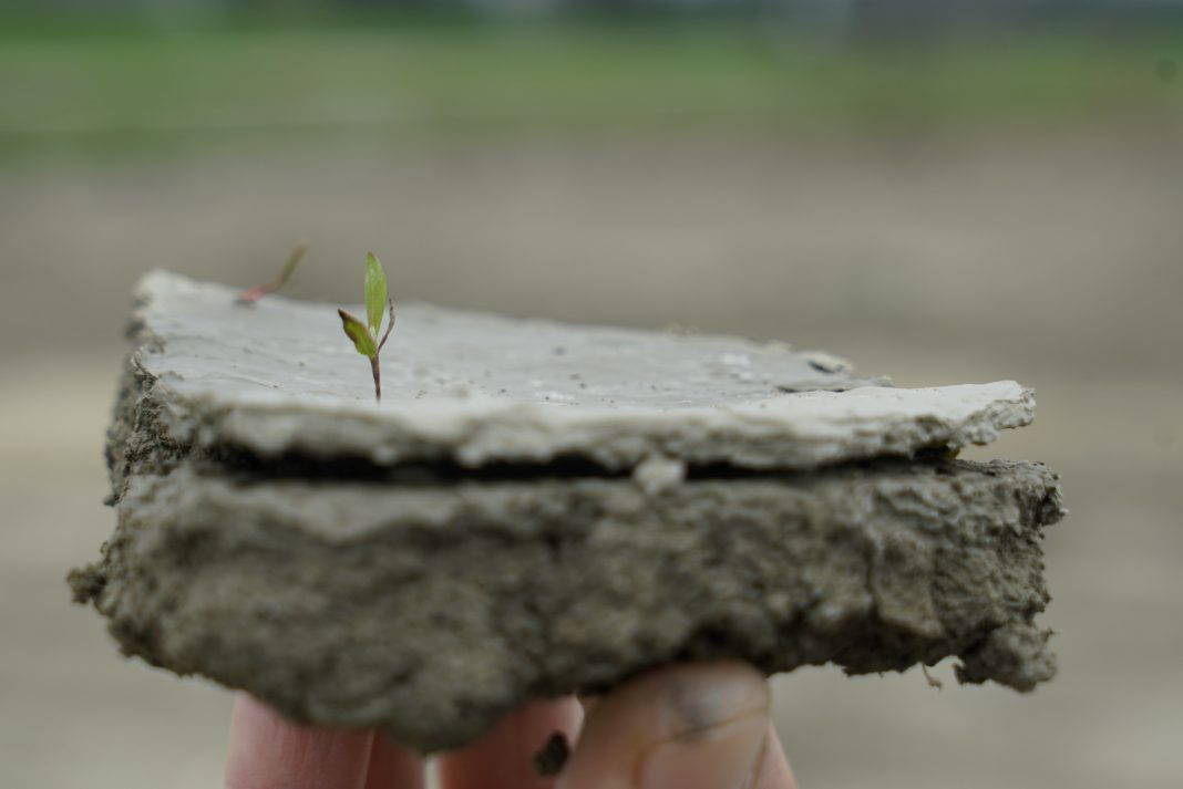 Residenza di Juan Sandoval e Grazialba di Summahttps://www.exibart.com/repository/media/formidable/11/img/25e/Juan-Sandoval-e-Grazialba-di-Summo-terra-1068x713.jpg