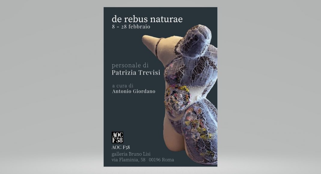 Patrizia Trevisi – De Rebus Naturaehttps://www.exibart.com/repository/media/formidable/11/img/268/Locandina-De-Rebus-Naturae-1068x580.jpg