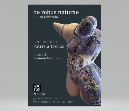 Patrizia Trevisi – De Rebus Naturae