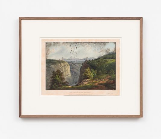 Luca Vitone – Capricci e altri umori