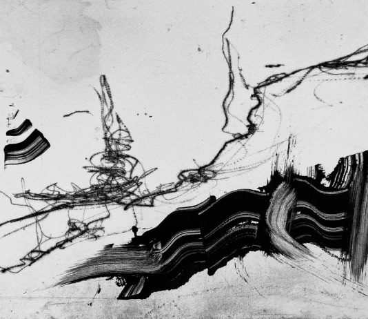 Virginia Carbonelli – Spazi Interni