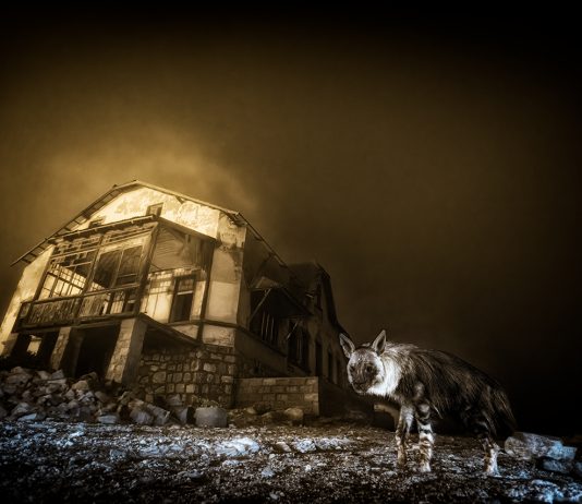 61° Wildlife Photographer of The Year