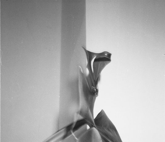 IAN WAELDER – mezzo staccato (romantic gestures) IAN WAELDER – mezzo staccato (romantic gestures)