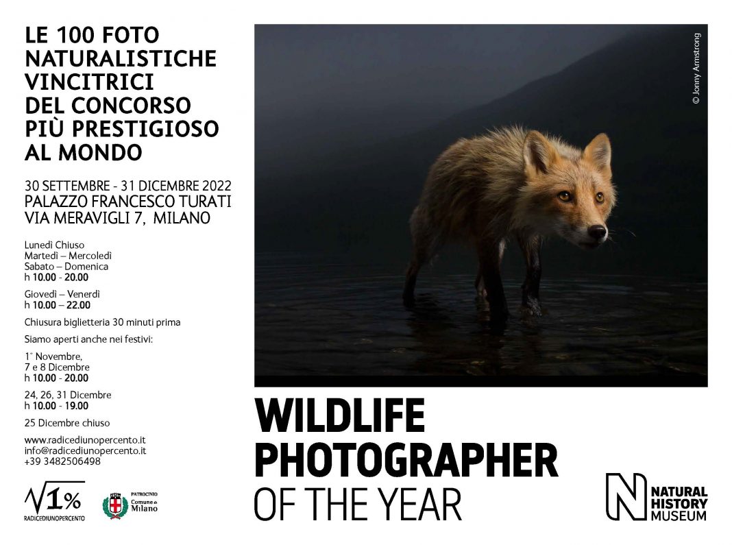 Wildlife Photographer of the Year 57https://www.exibart.com/repository/media/formidable/11/img/28d/Locandina-WPY-2022-Web-1068x795.jpg