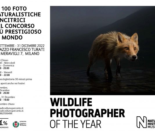 Wildlife Photographer of the Year 57