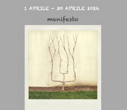 Enzo Pertusio – Fare Forme Enzo Pertusio – Fare Forme