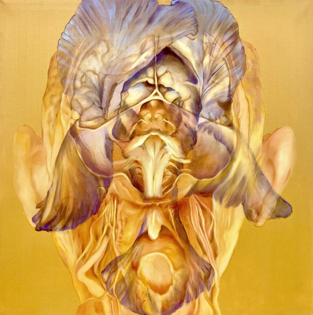 LXIX Premio Basilio Cascella 2025 | Futuro Imperfettohttps://www.exibart.com/repository/media/formidable/11/img/2b4/Strada-01-Innesti_Ibrida-2024-80x80-olio-su-tela_e-1068x1073.jpg