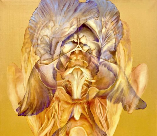 LXIX Premio Basilio Cascella 2025 | Futuro Imperfetto LXIX Premio Basilio Cascella 2025 | Futuro Imperfetto