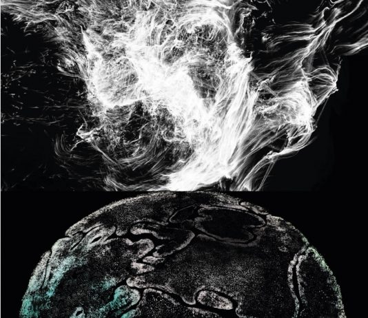 Alessandro Zannier – GLOBAL_SYNAPSES