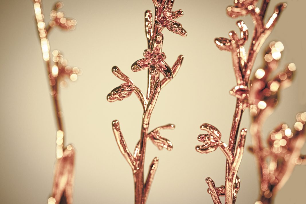 Avant que nature meure ed. Quodlibethttps://www.exibart.com/repository/media/formidable/11/img/2b8/08-SILVIA-CINI_AVANT-QUE-NATURE-MEURE_-SEGNA-SFALCIO-GALVANOPLASTICHE-1068x712.jpg