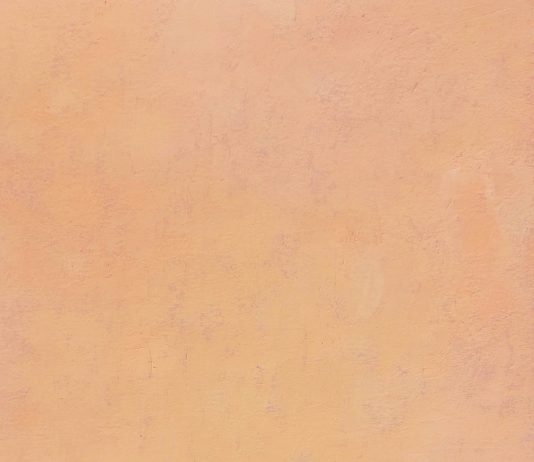 Fernando Ambrosi – My memory is a panorama