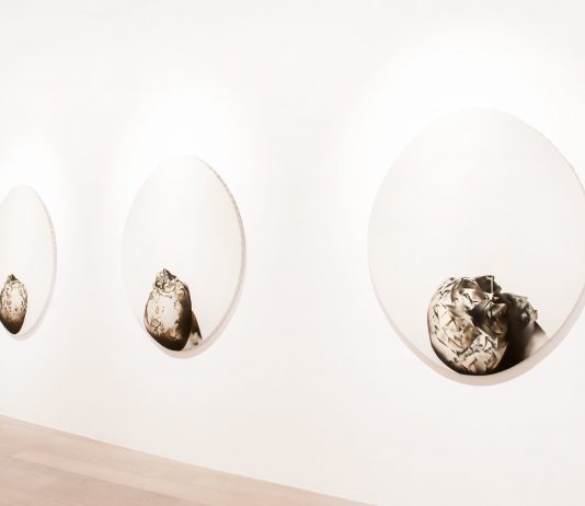 Alberto Colliva – L’inganno dell’immagine