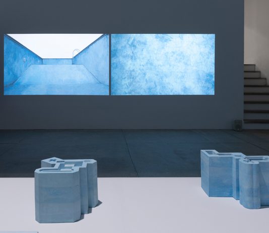 Nazgol Ansarinia – Pools and Voids