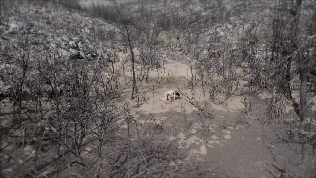 GIUNGLA 2024 | Radicalehttps://www.exibart.com/repository/media/formidable/11/img/31a/Earth-Fight_2022_Still-MIMIKO_TURKKAN-1068x601.jpg