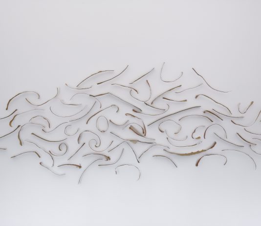 The Reminder of the Wind