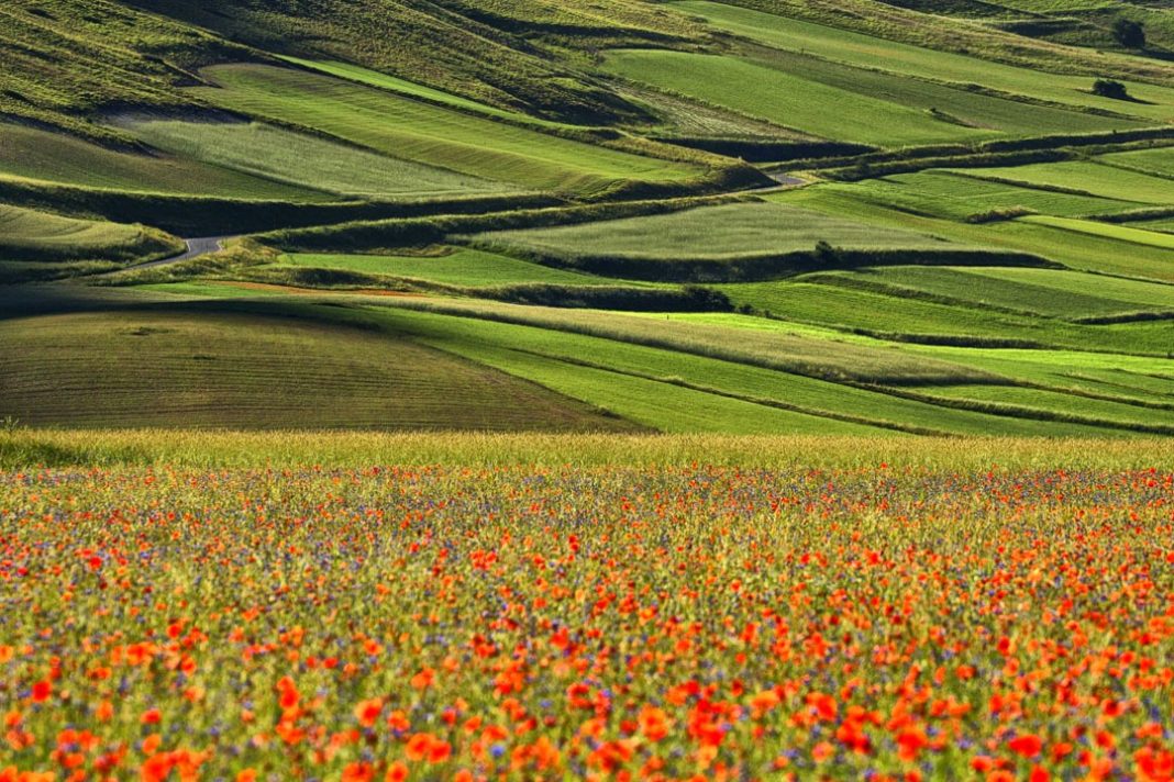 Silenzi oltre il Velohttps://www.exibart.com/repository/media/formidable/11/img/329/11-1068x712.jpg