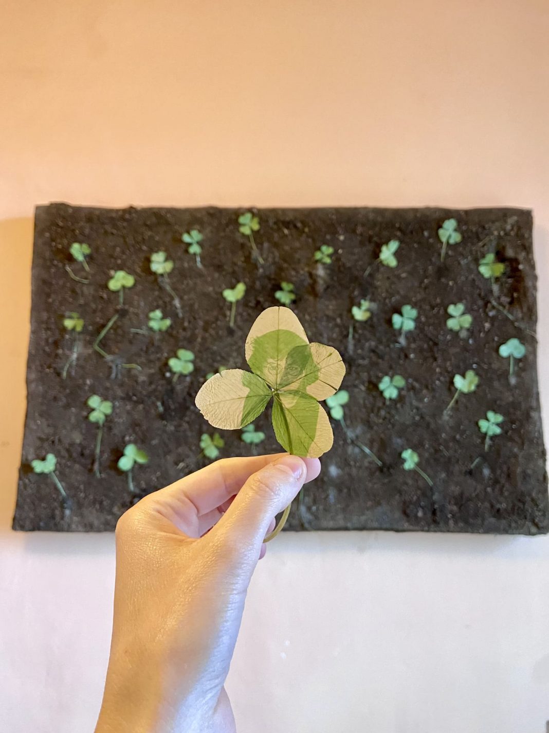 Tommasina Giuliasi – L’arte dell’errore: quattro variazioni sull’inatteso.https://www.exibart.com/repository/media/formidable/11/img/32d/Tommasina_Giuliasi_È_raro_lerrore-1068x1424.jpeg