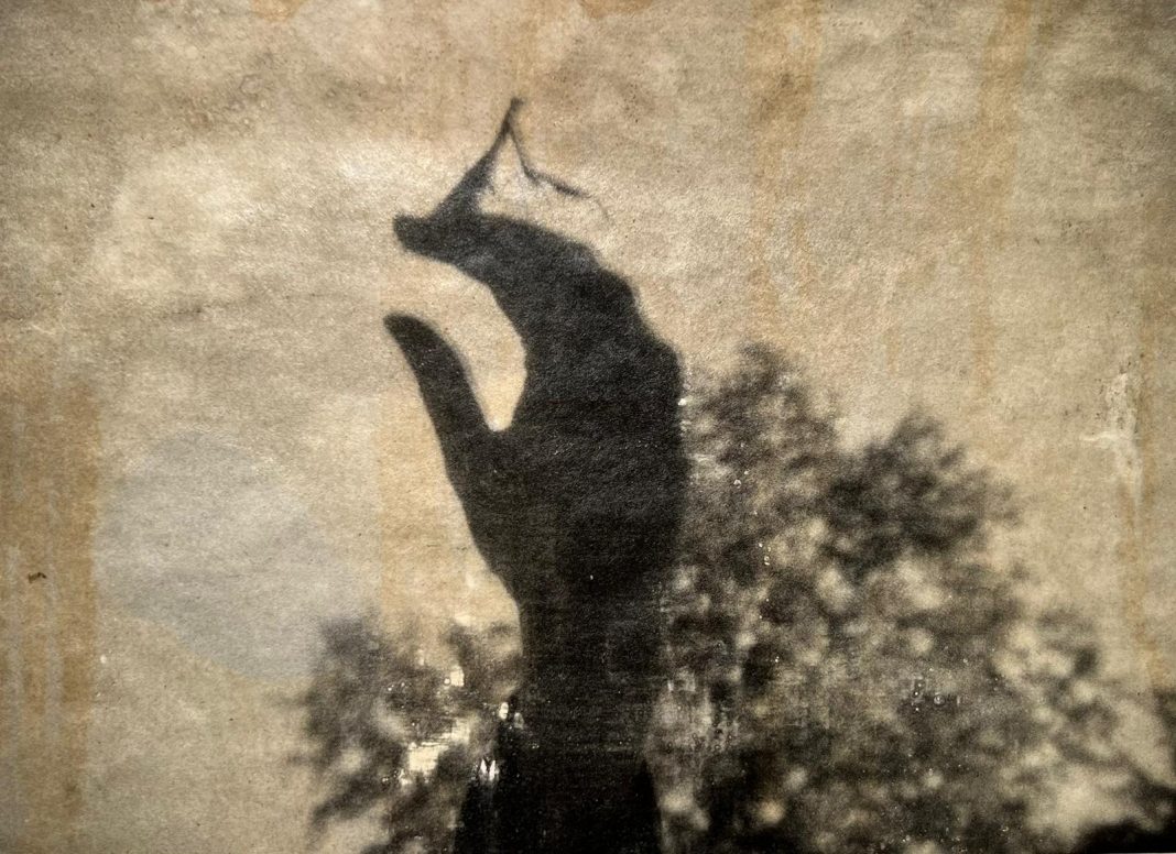 Cara Foresta – Guido Gazzillihttps://www.exibart.com/repository/media/formidable/11/img/349/WhatsApp-Image-2026-01-28-at-13.22.33-1068x776.jpeg