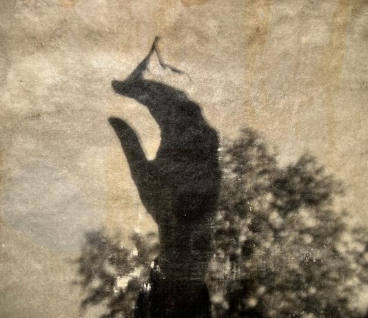 Cara Foresta – Guido Gazzilli