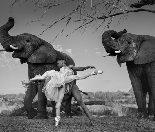 Ruggero Rosfer – Dancing with nature