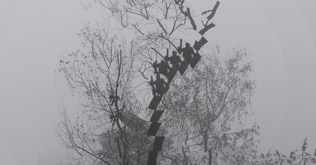 Natural Ellipsis – Anima Mundi e Conversione Ecologicahttps://www.exibart.com/repository/media/formidable/11/img/374/241290668_1717624855105196_5576312433703081857_n-1068x559.jpeg